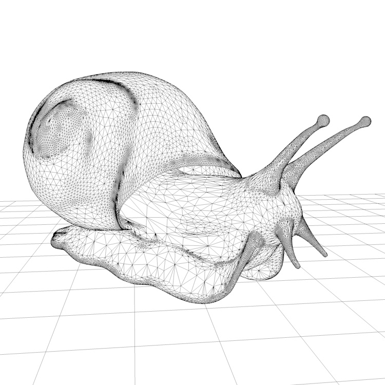 Mollusc Snail 3d Model