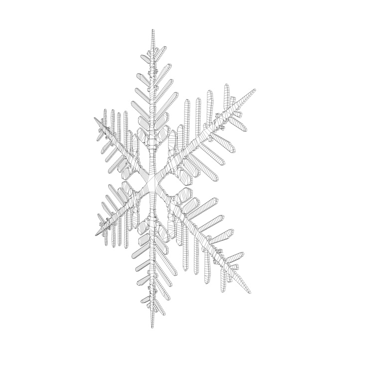 Snowflake ice 3d model