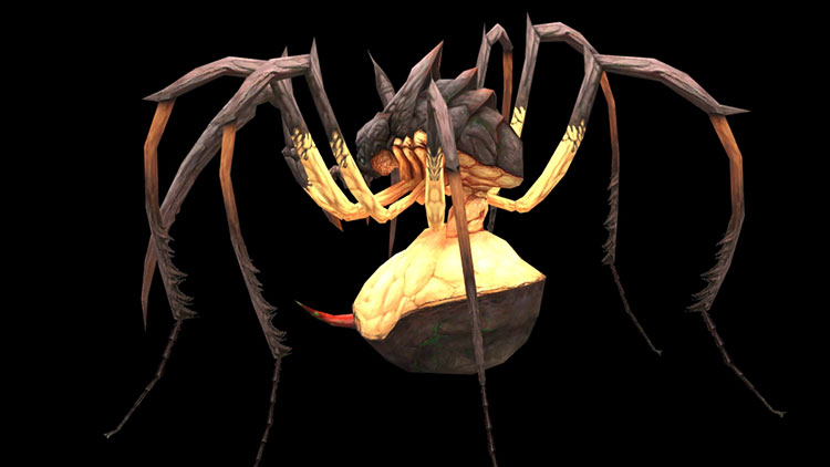 Spider 3d model low polygon game game