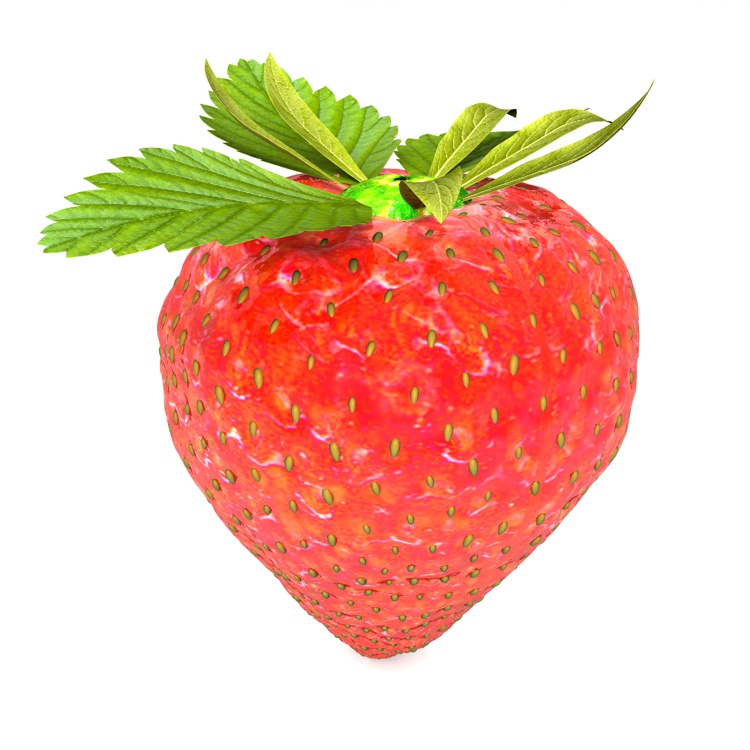 Strawberry 3d Model