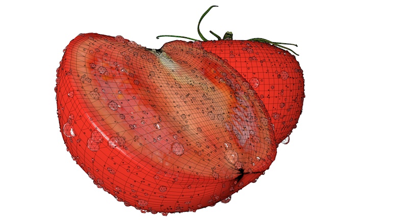 トマト3Dモデルの野菜の果物