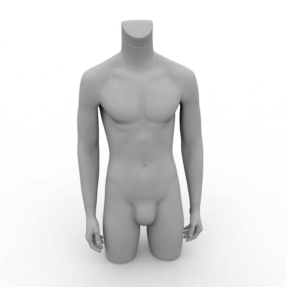 人体模特躯干男性3d模型