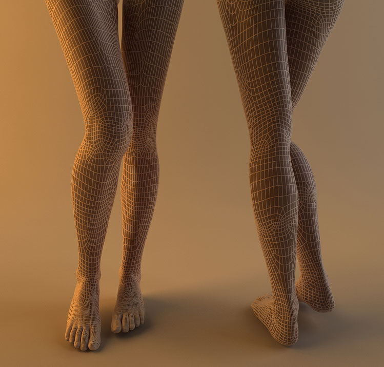 足のフィート人間の女性の女の子の体の現実的な文字の脚フォトリアリスティックな女性の肌材料の質感