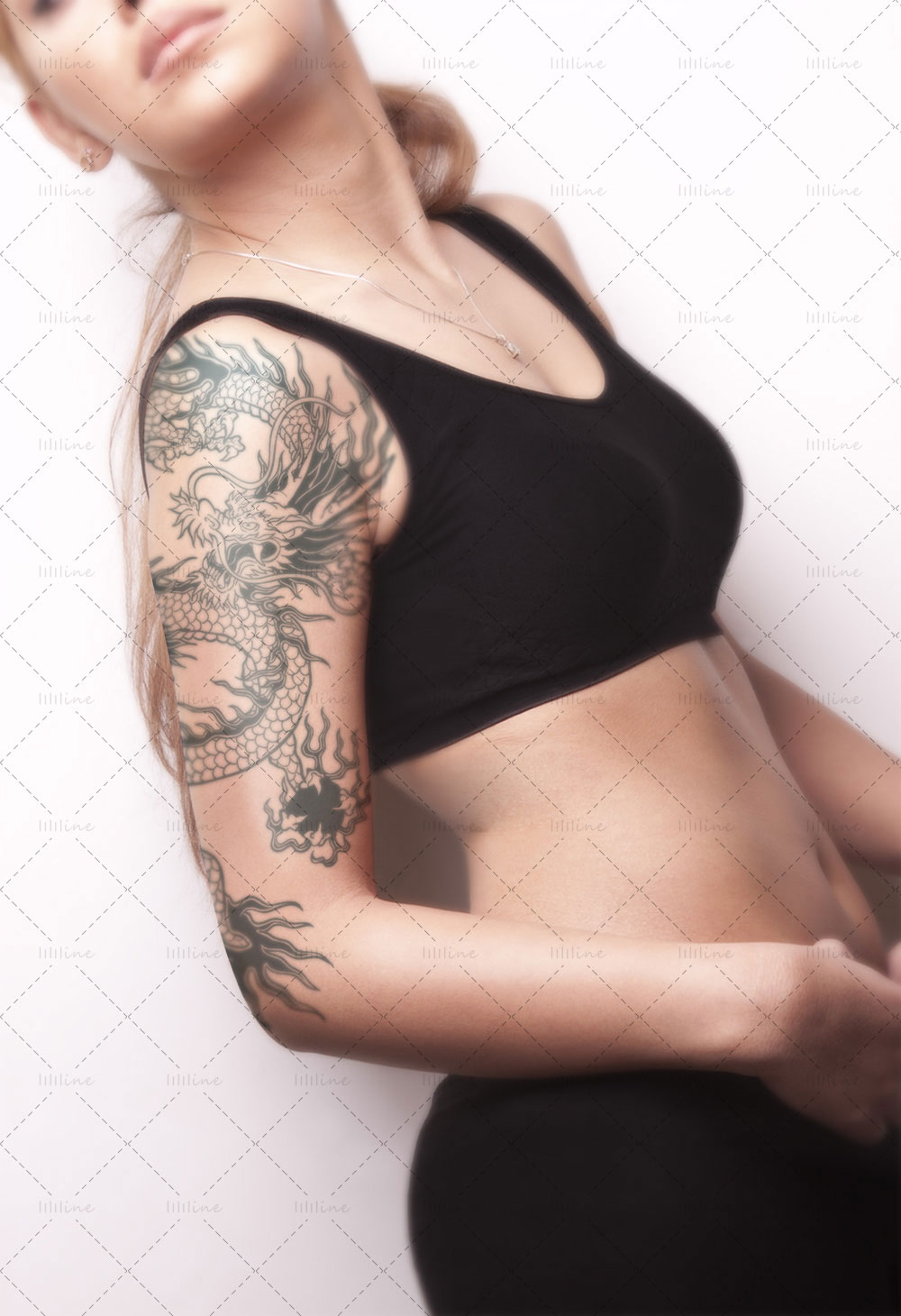 Drache mit Kugel totem tattoo pattern vi eps pdf