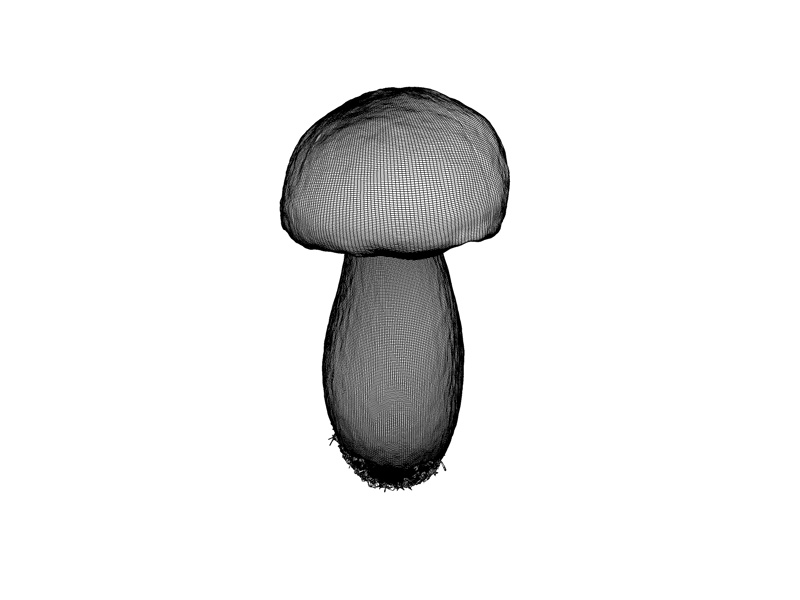 Трехмерная модель грибов-грибов