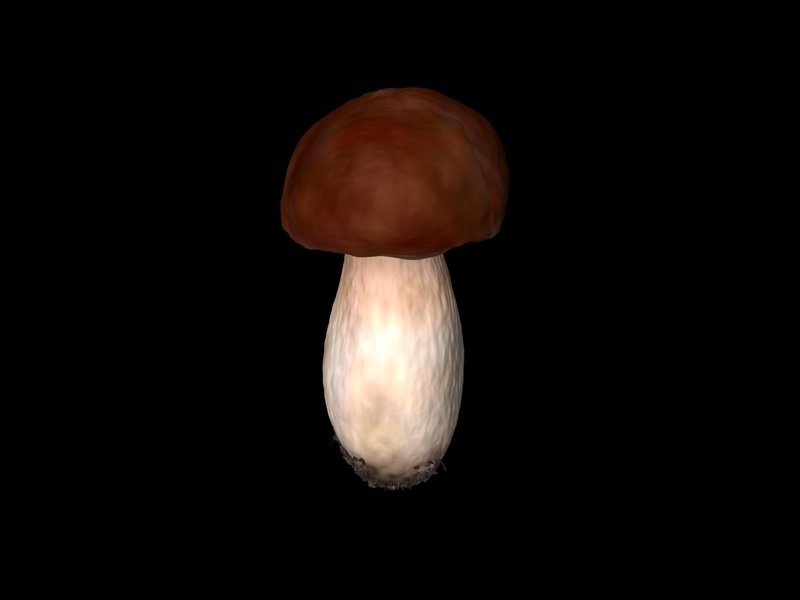 Modèle 3D de champignons comestibles de haute précision
