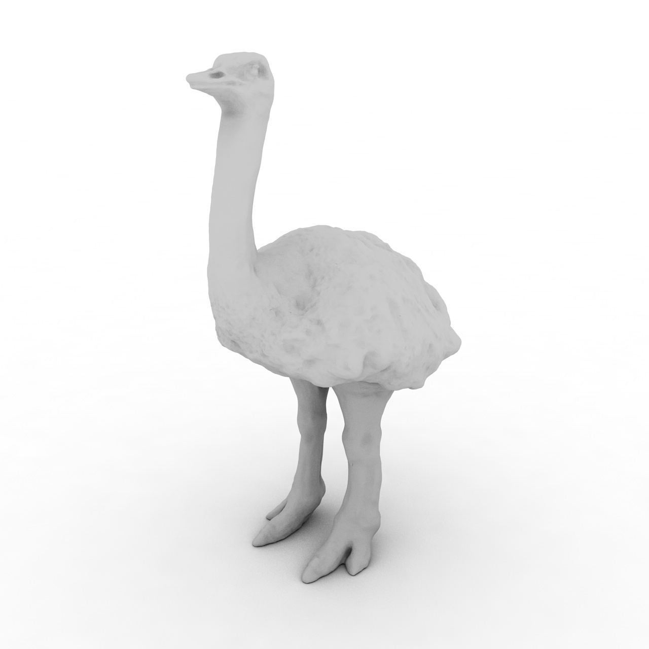 Ostrich 3d printing model