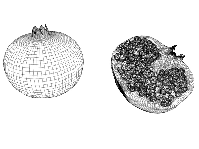 Modell des hohen Präzisionsfrucht Granatapfels 3D