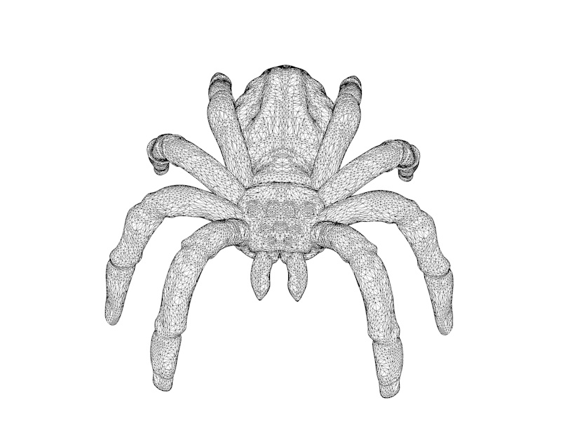 Modèle d'impression 3d araignée