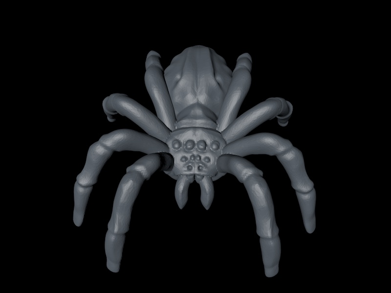 Spider 3d printing model