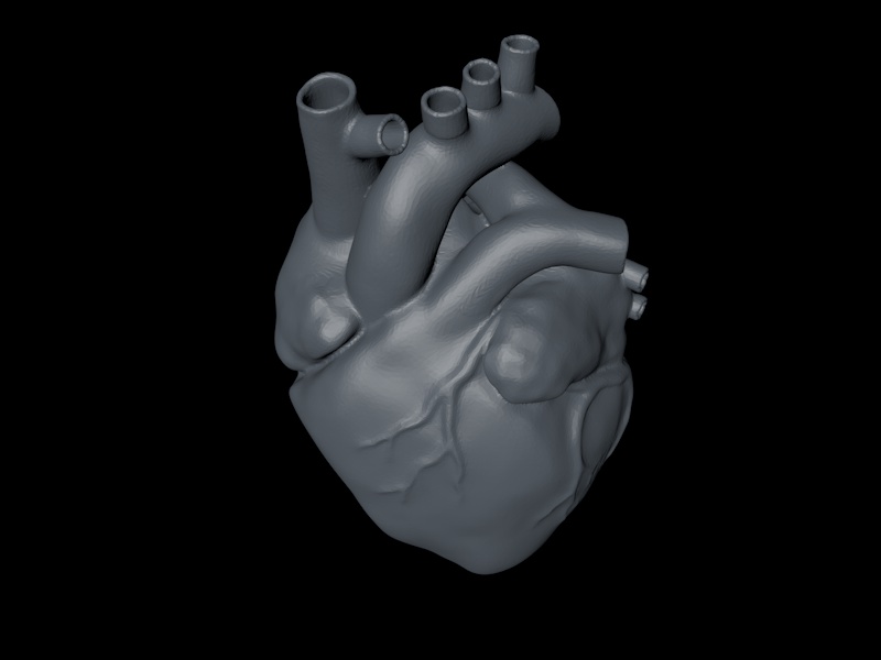 modelo de impresión 3D del corazón humano