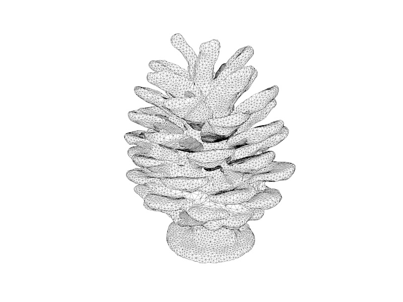 Pine Cone Low-Poly-3D-Modell
