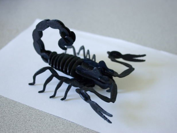 Scorpion Puzzle 3d printing model