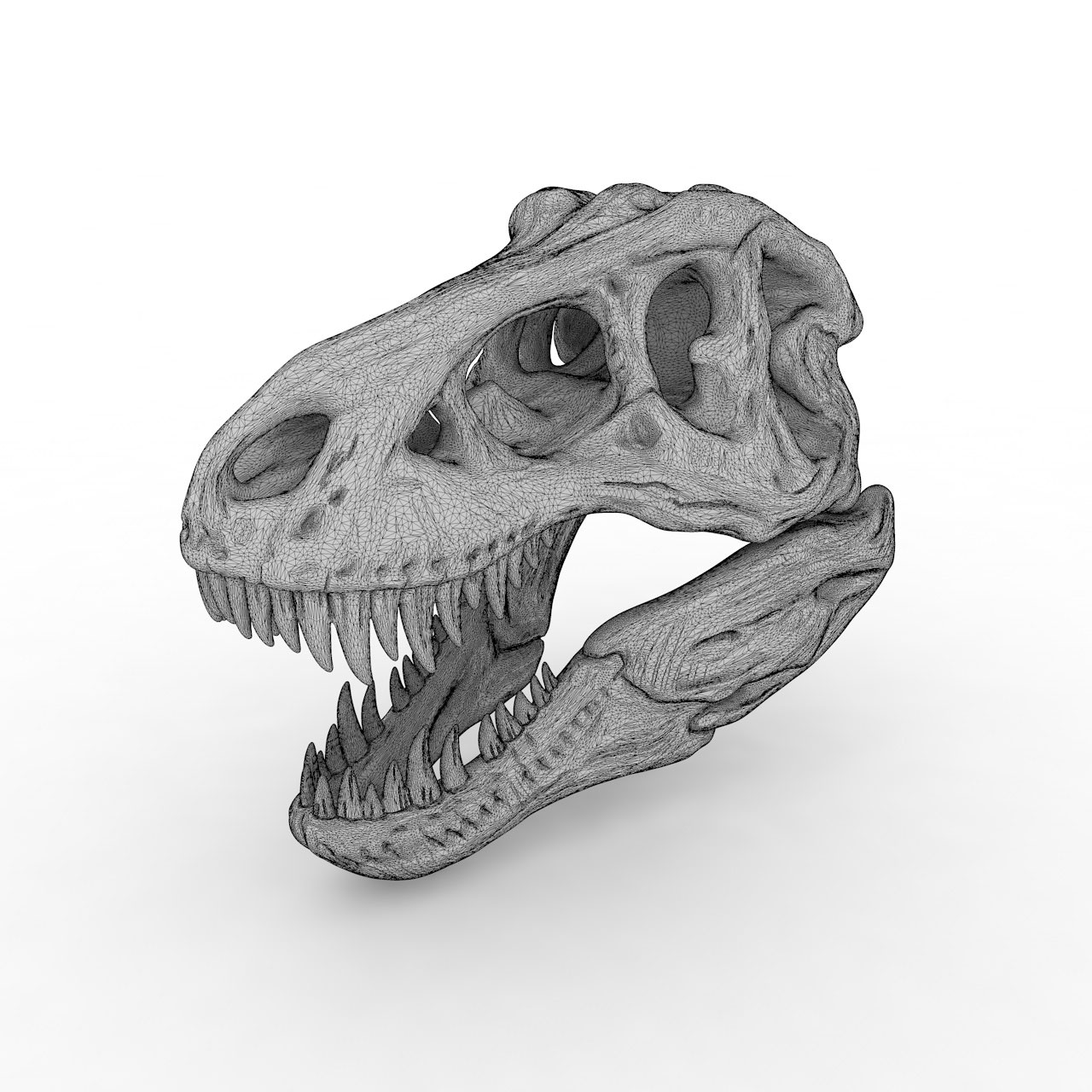 Tyrannosaurus Rex Skull 3d printing model