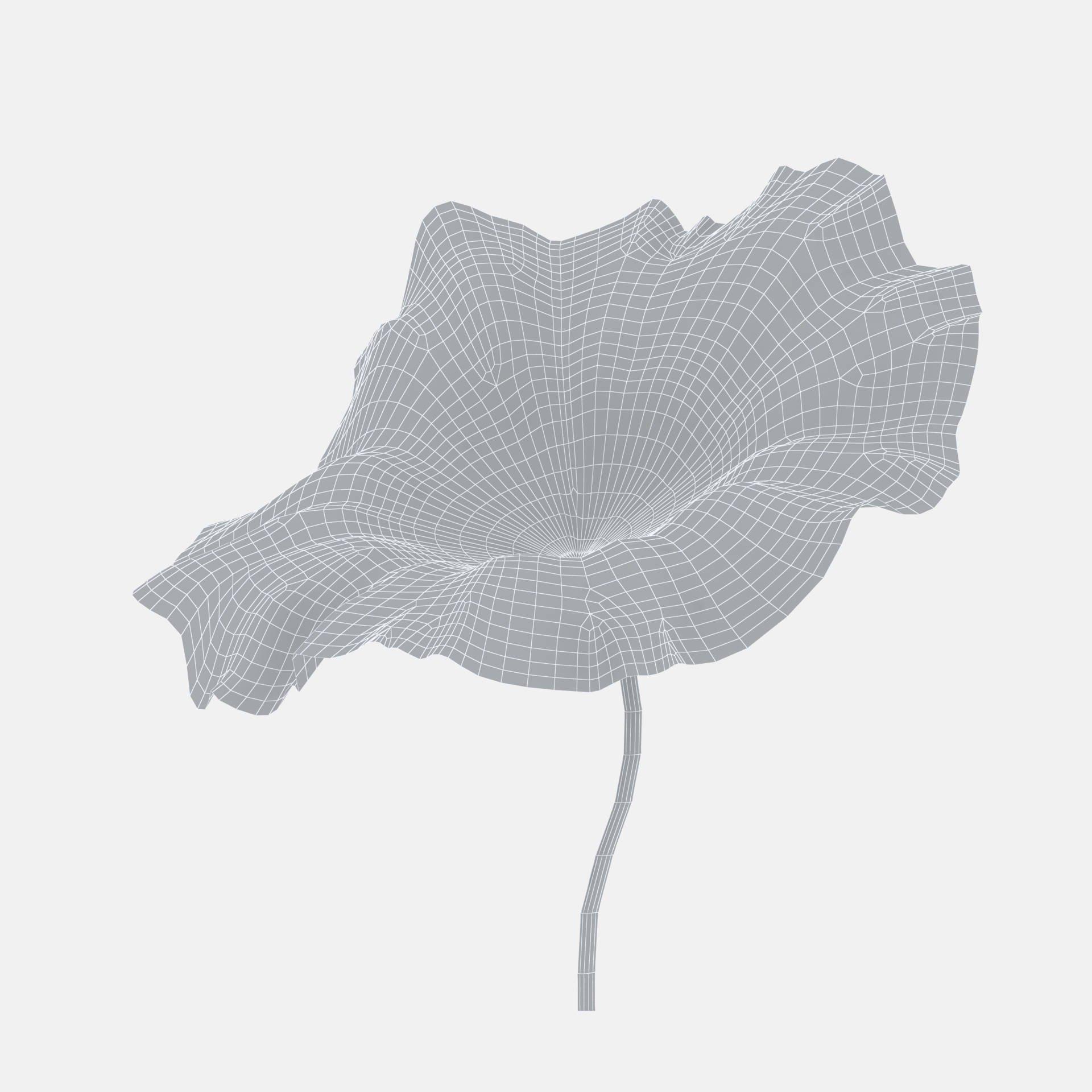 Ink material lotus leaf three-dimensional model 01