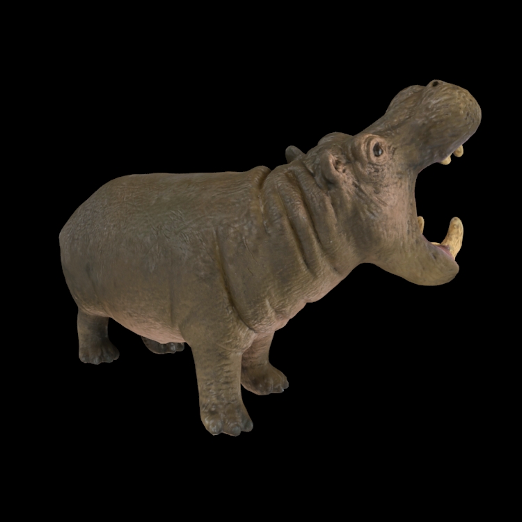 Hippo three-dimensional model