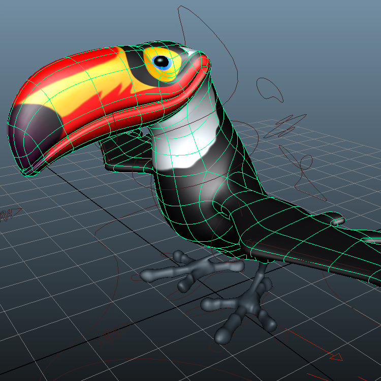 Tucano Cartoon 3D Model Animal
