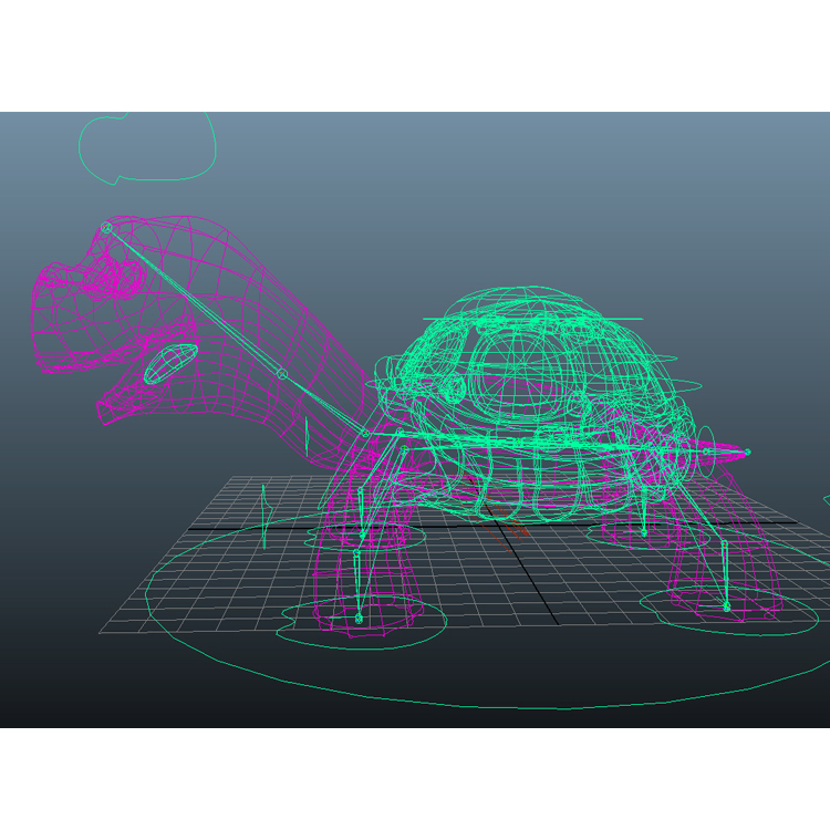 Karikatür Kaplumbağa 3D Model Hayvan
