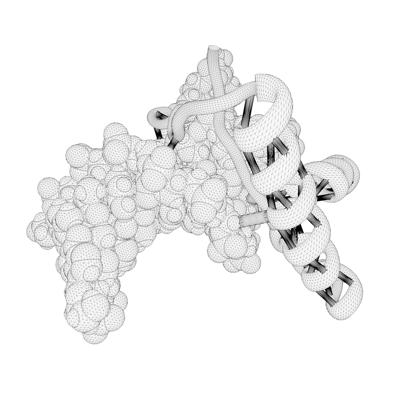 DNA bender 1tgh molecular structure 3d print model