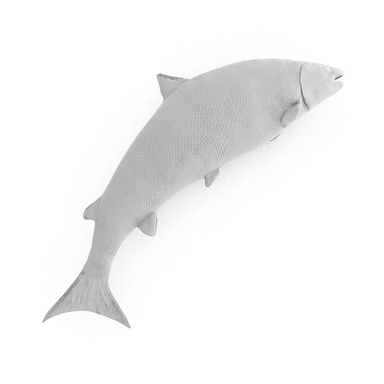 3Д модел штампе великог тихог лососа Онцорхинцхус кета