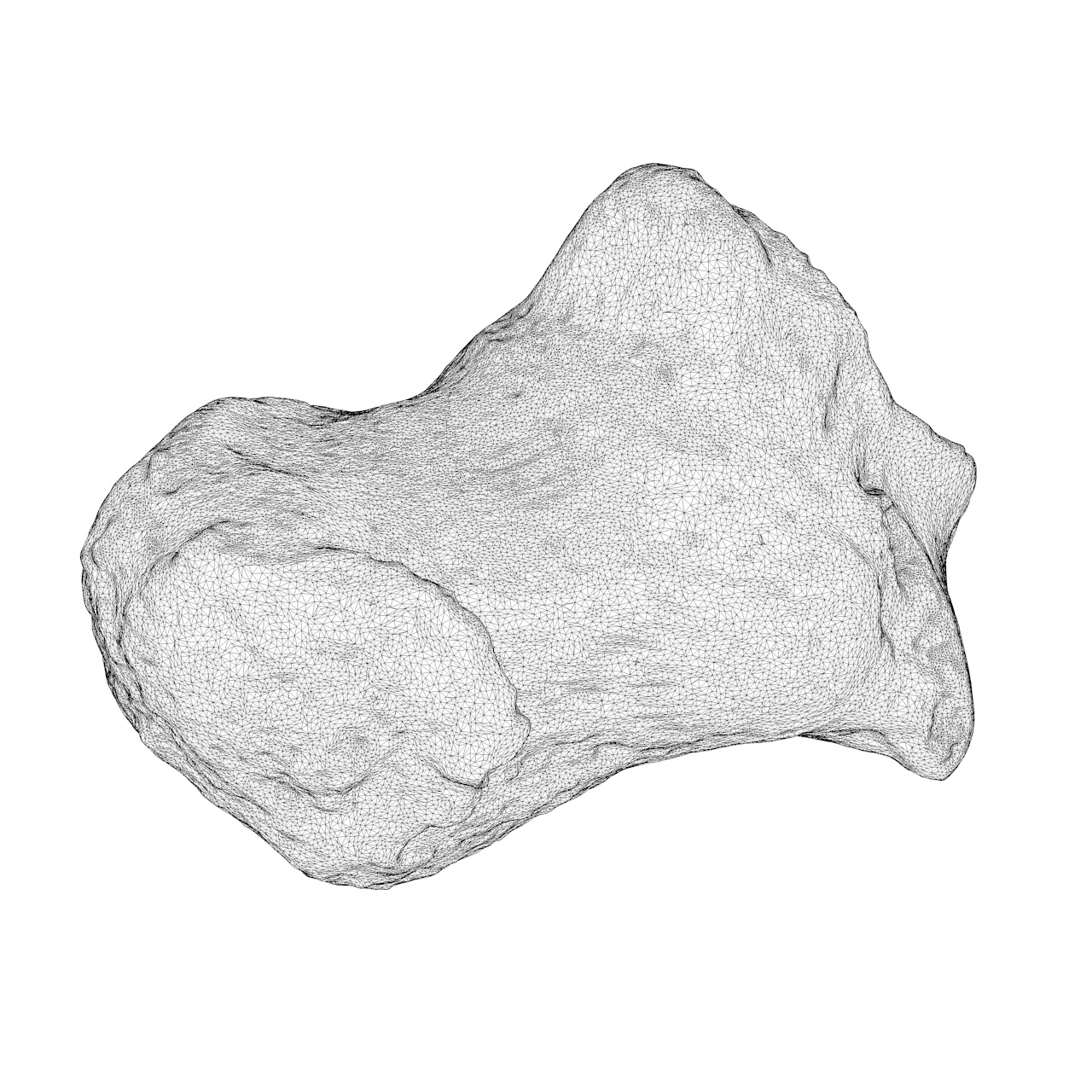 Calcaneus 3D-afdrukmodel