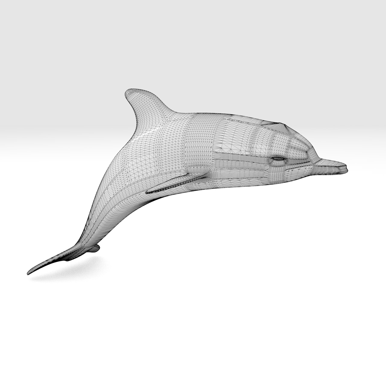 Dolphin 3d print model
