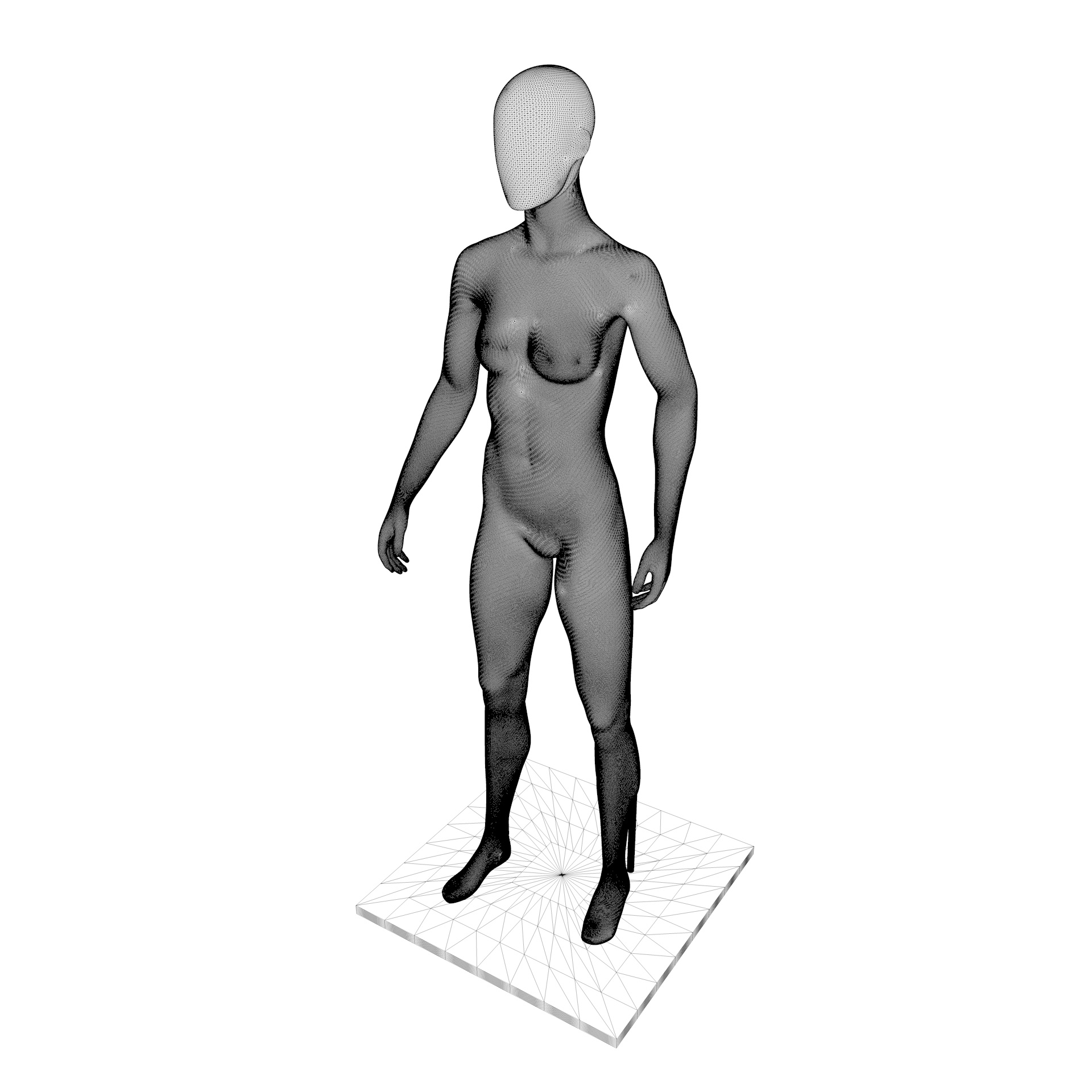 大人の女性のマネキン3Dプリントモデル