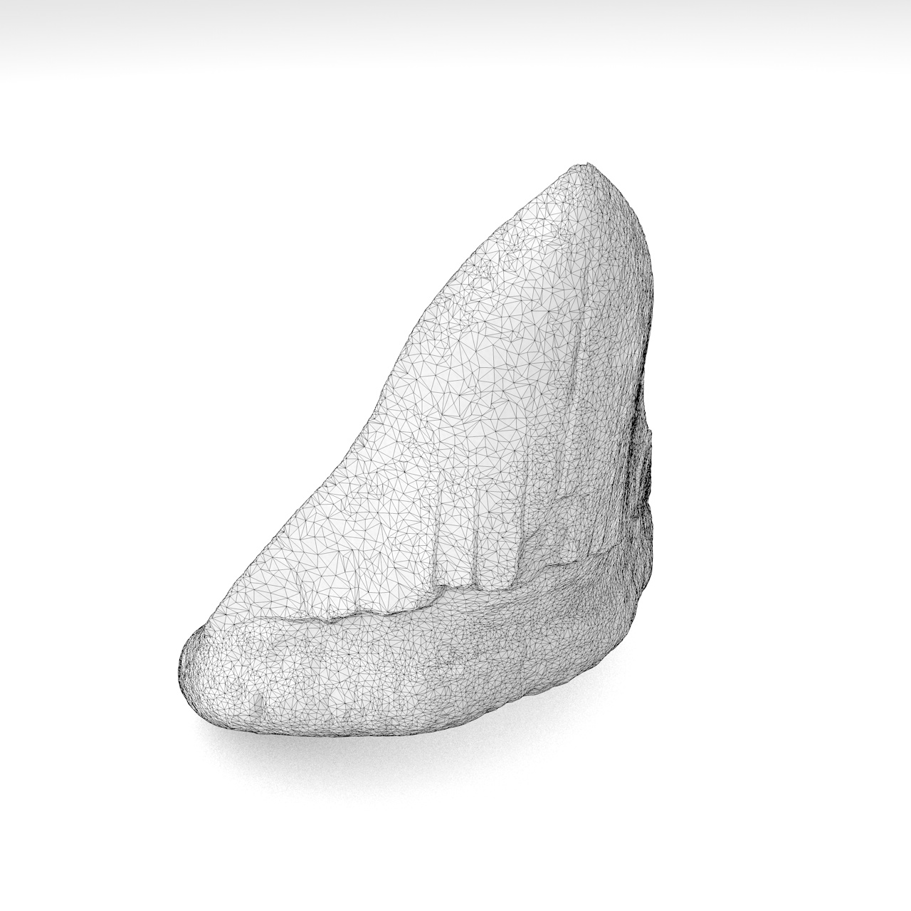 Modelo de impresión 3d de diente de tiburón megalodon