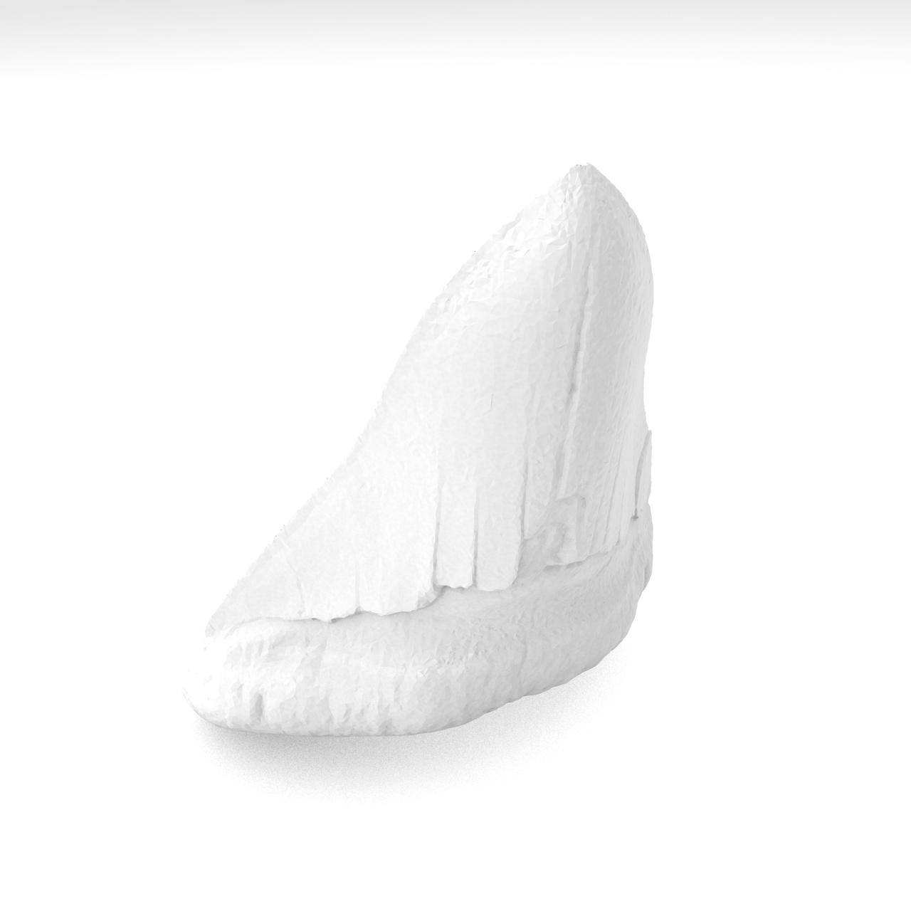 Modelo de impresión 3d de diente de tiburón megalodon
