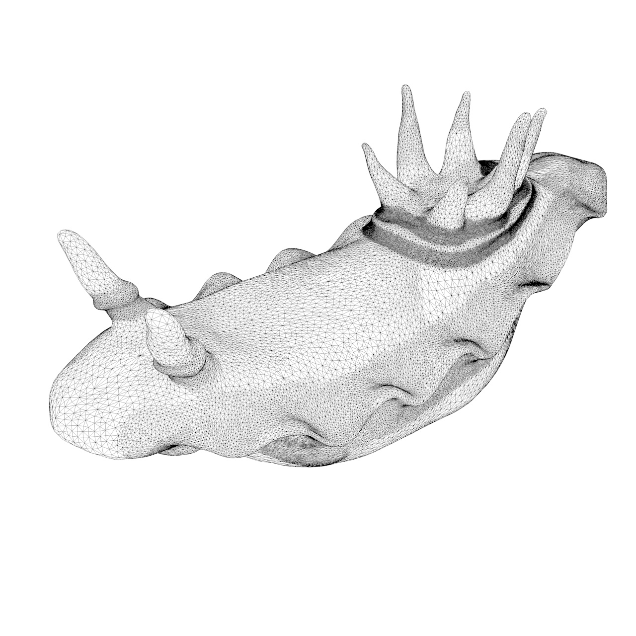 3D model mořského slimáka