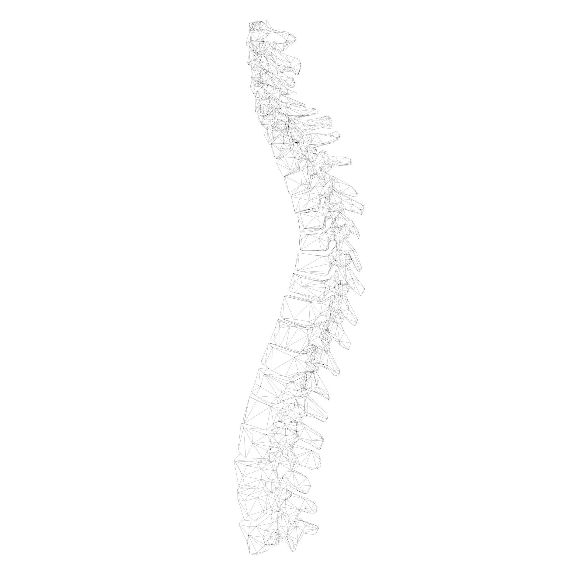 Model hrbtenice 3d