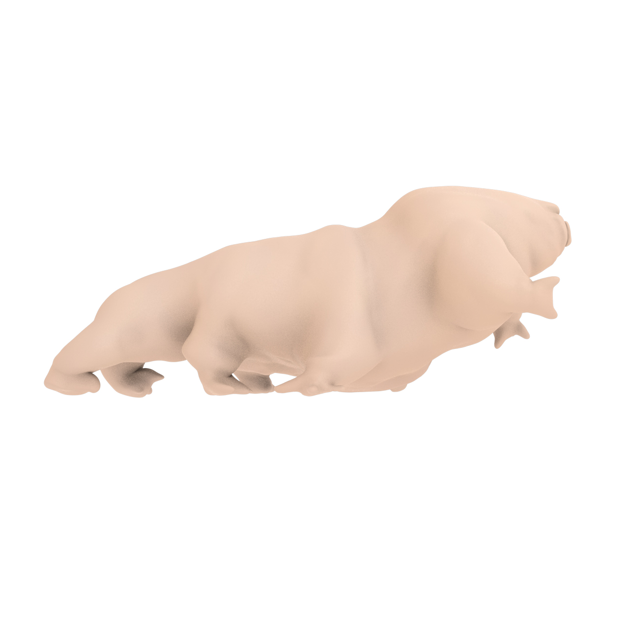 Water bear tardigrata 3d print model