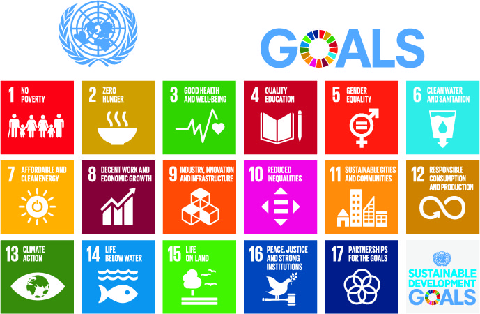 Icona per lo sviluppo sostenibile - Vettore del libro dell'icona delle Nazioni Unite
