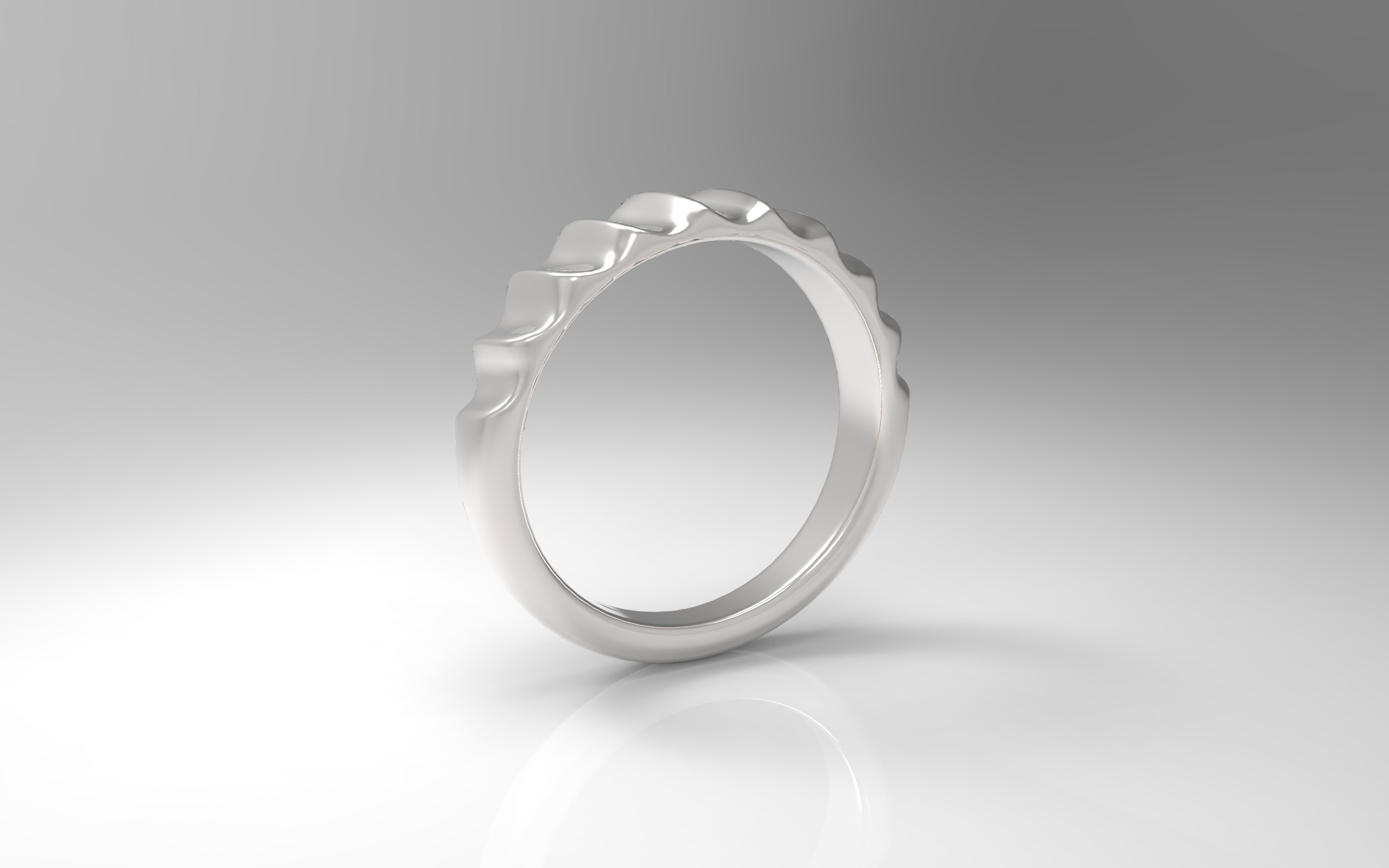 Rings 3d model