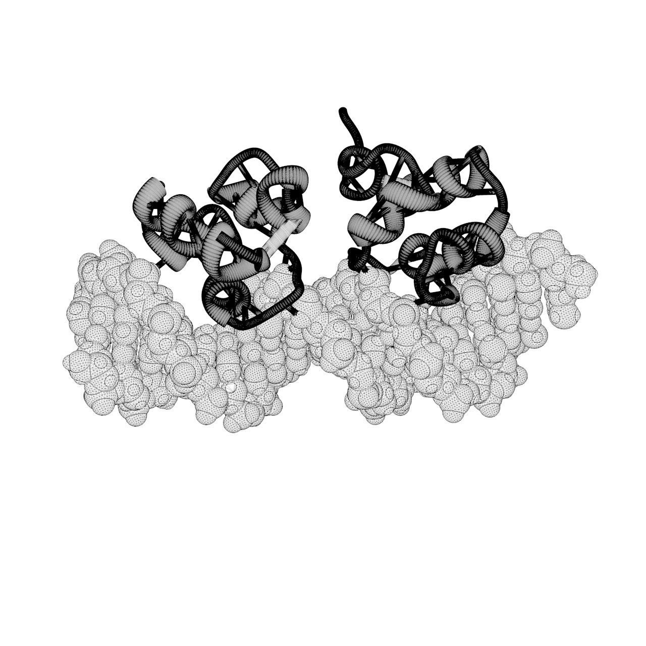 Modelo de impresión en 3d de proteína de unión 434-CRO-DNA