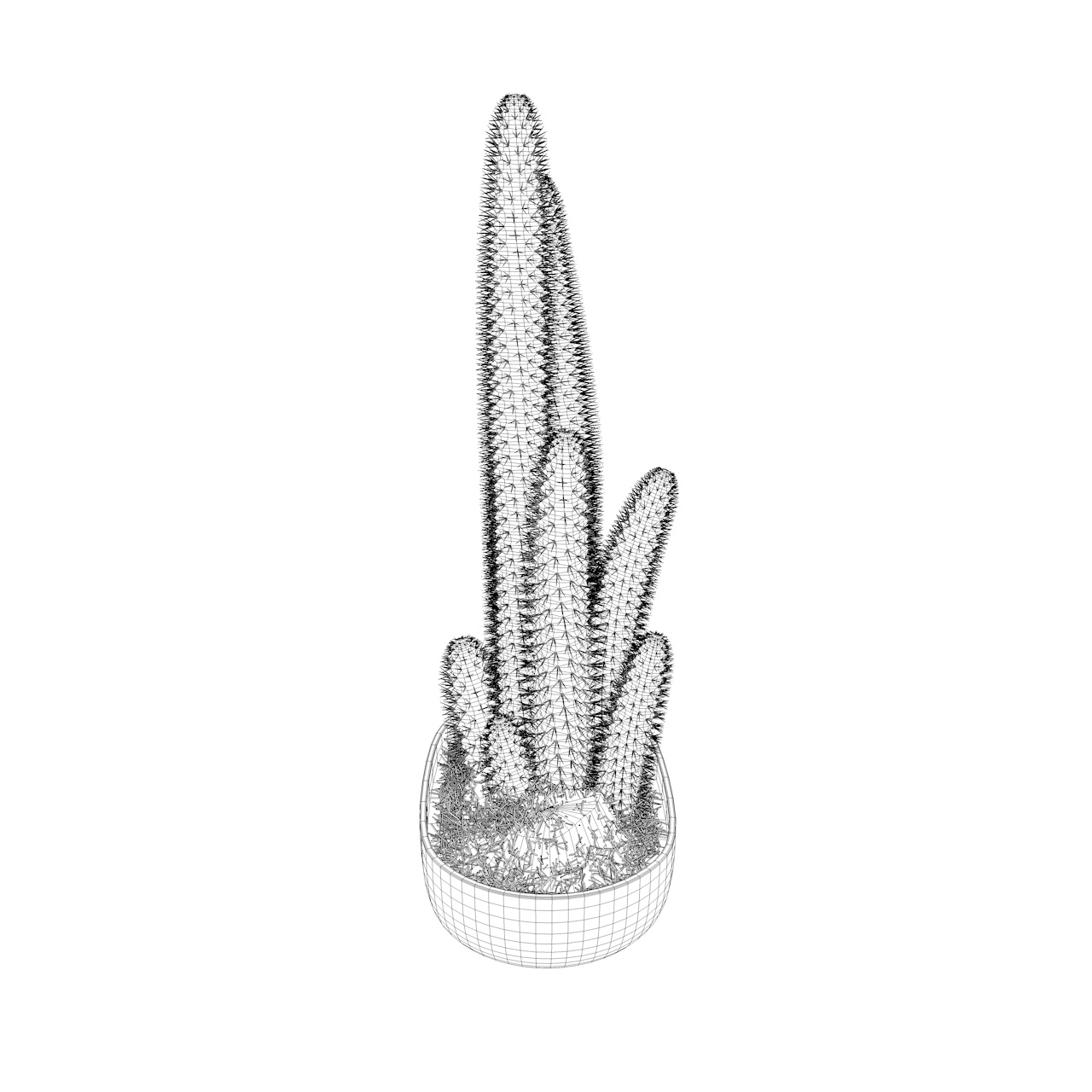 Kaktusový 3D model