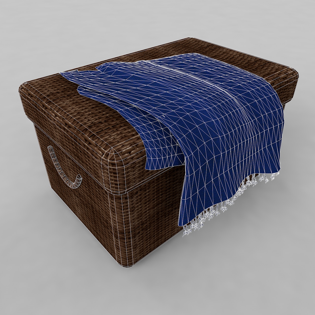 Cane Storage Box Bin 3D Model