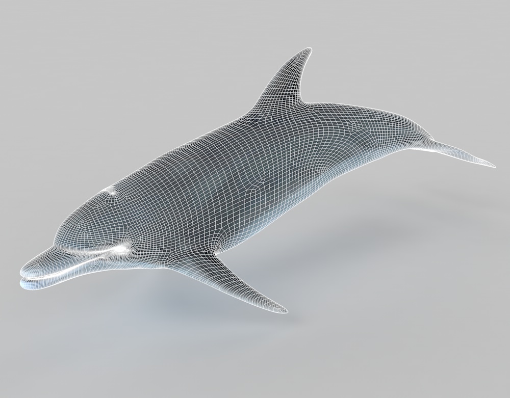 Дельфин 3d модель