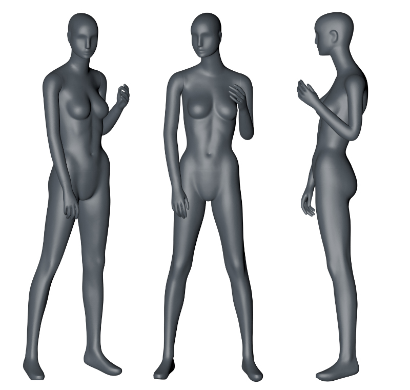 Female Mannequin left hand up 3d printing model