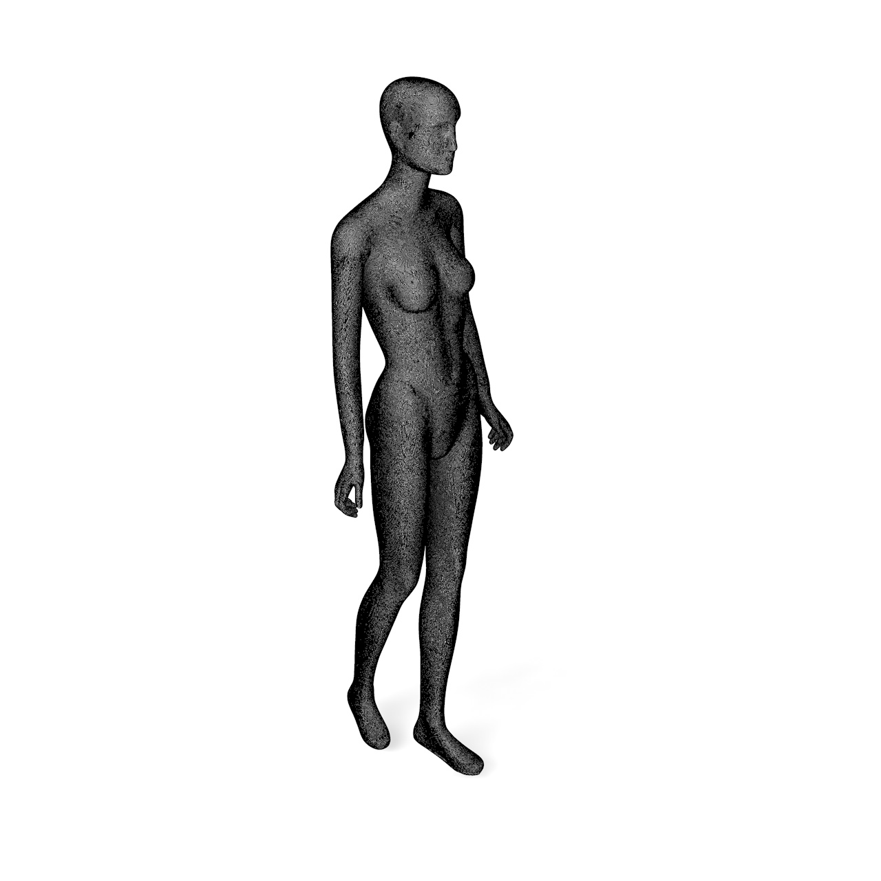 Vrouwelijk mannequins 3d model