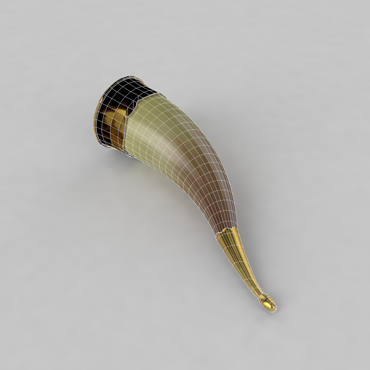 Modell des Horns 3d
