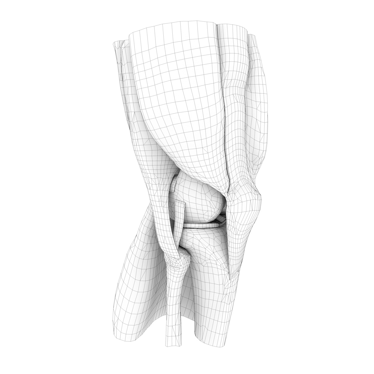 Knee Joint Muscle Structure 3d-modell