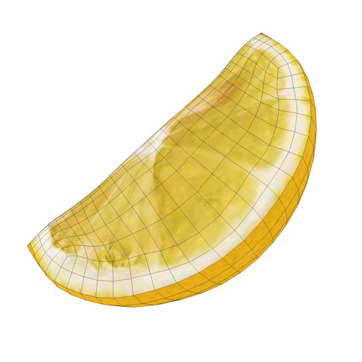 Лимонная кусочка 3d модель