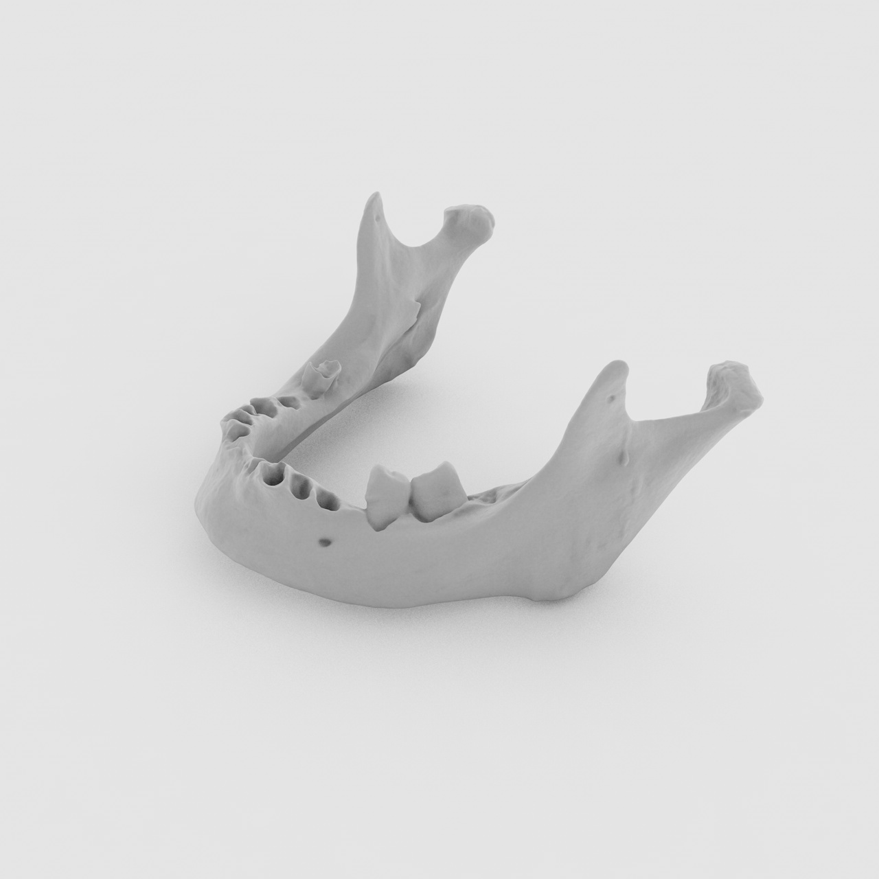Modelo de impresión 3d de mandíbula femenina vieja