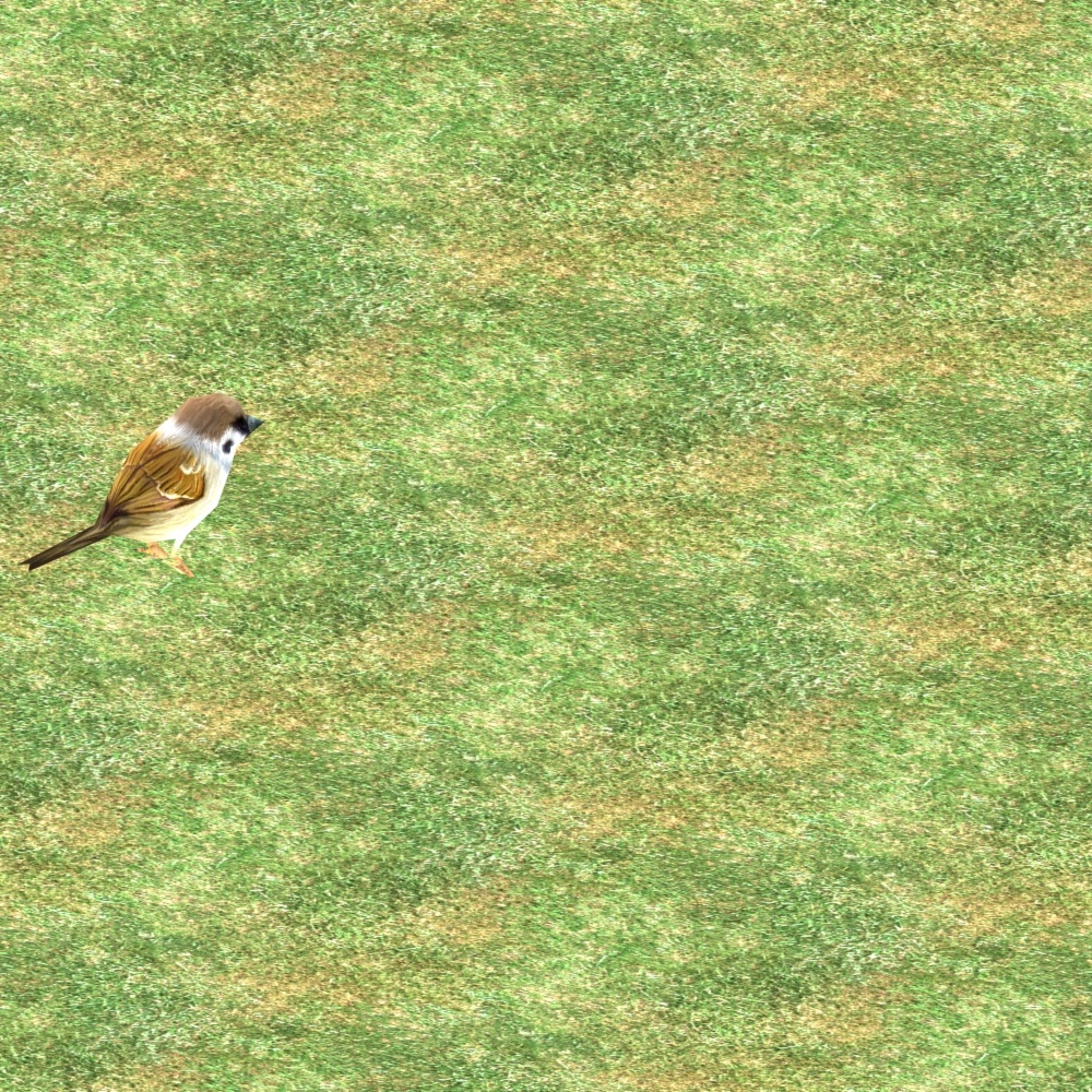 Walking Sparrow Animazione del modello 3d