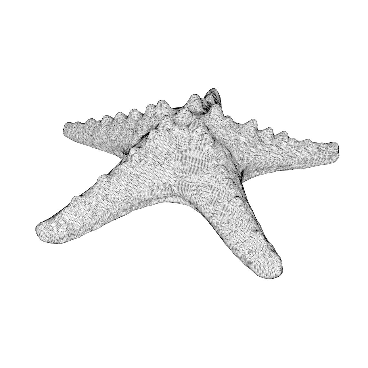 3d модель морской звезды