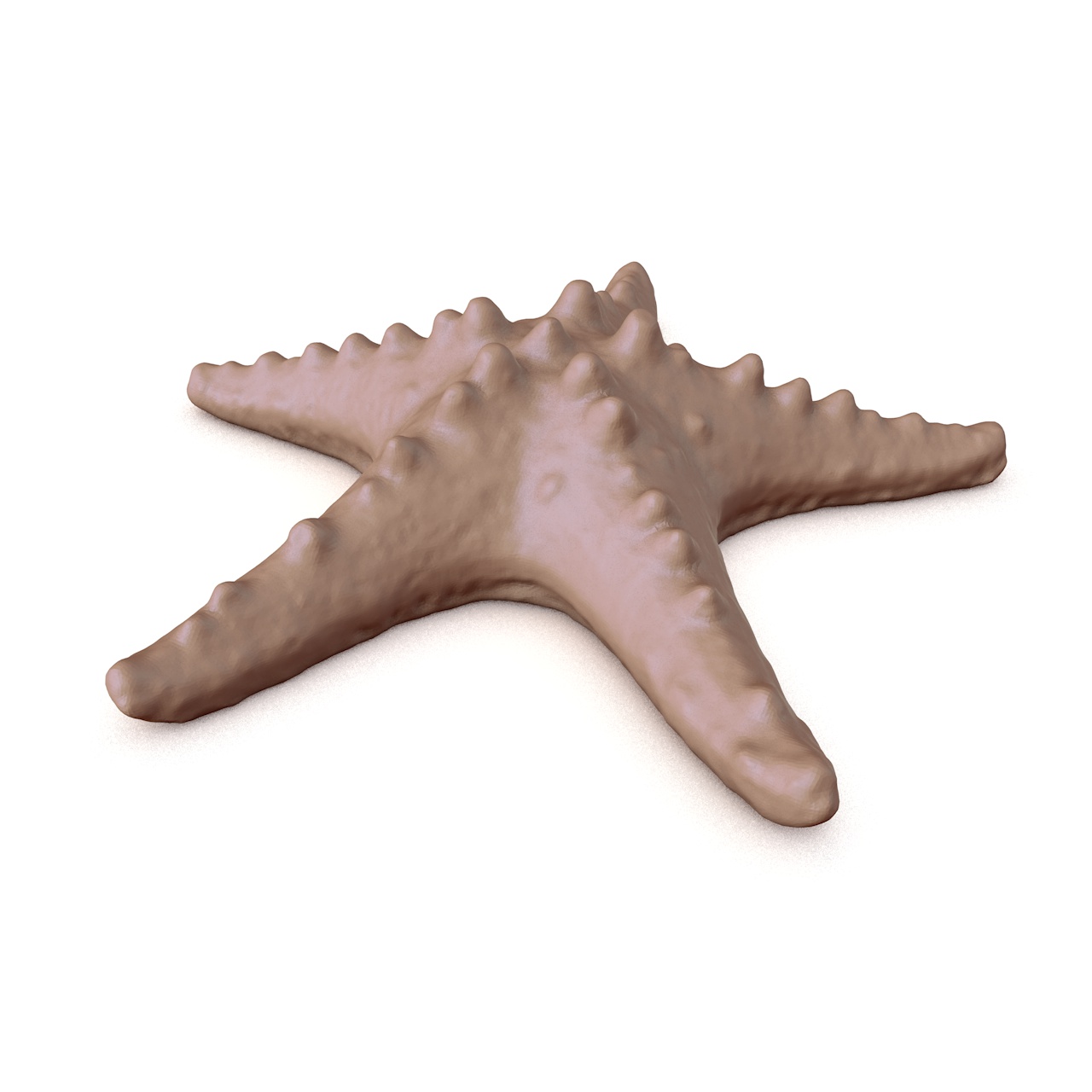 Model 3D tiskanja morskih zvezd