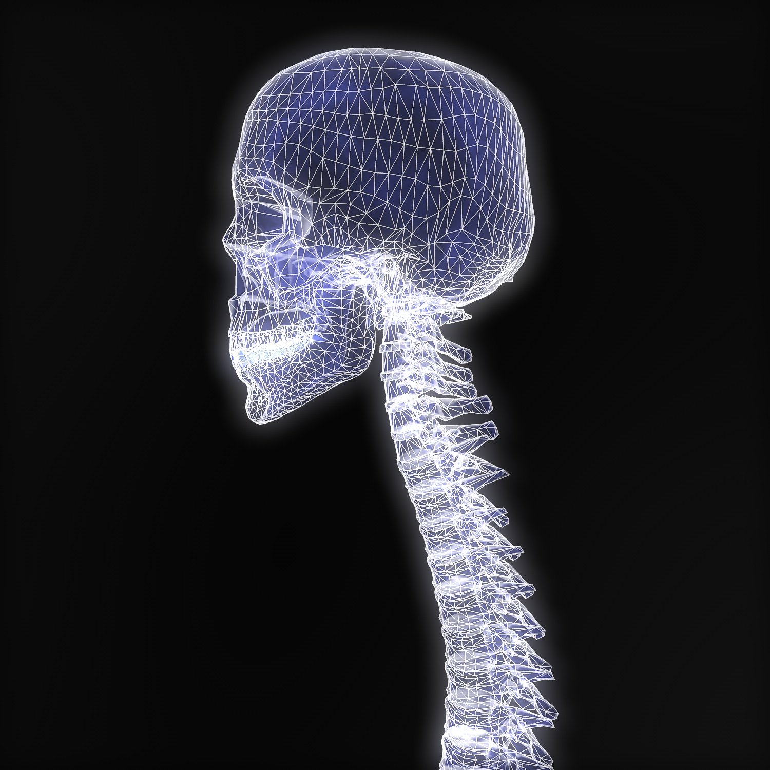 X-Ray 3D model material