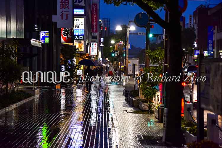 Calle lluviosa de la noche de otoño