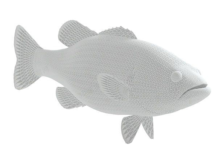 carp 3D model